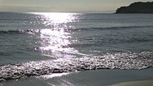 深見まどかピアノリサイタル2026-イメージ写真